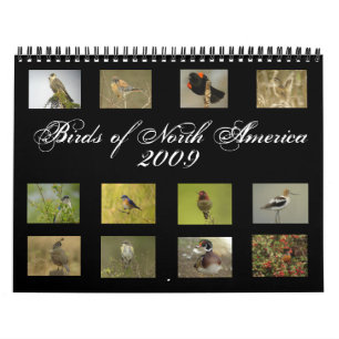 Norr - amerikanfågelkalender kalender