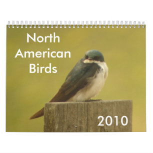 Norr - amerikanfåglar 2010 kalender
