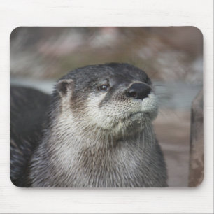 Norr - amerikanflodutter Mousepad Musmatta