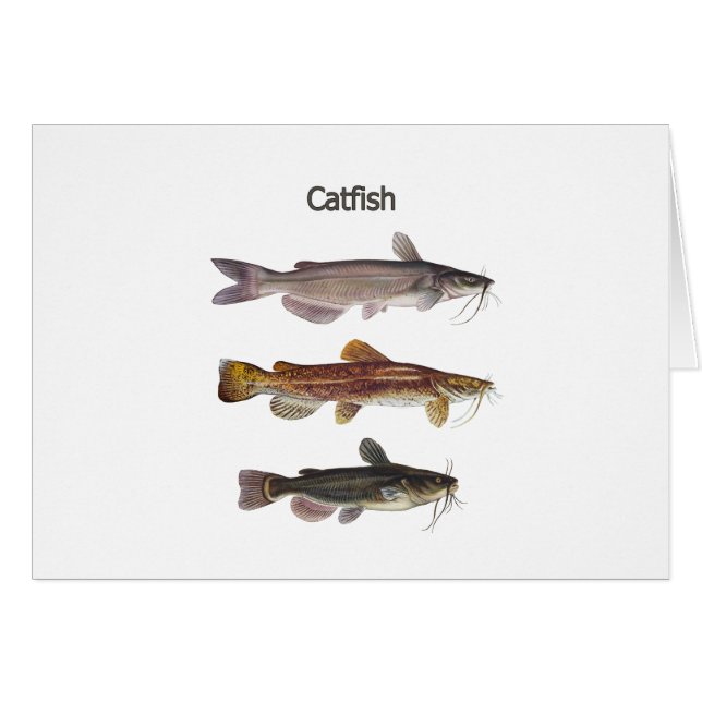 Norr - amerikanhavskattlogotyp hälsningskort (Framsidan Horizontal)