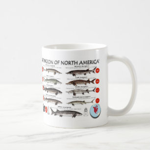 Norr - amerikanstörRedList mugg