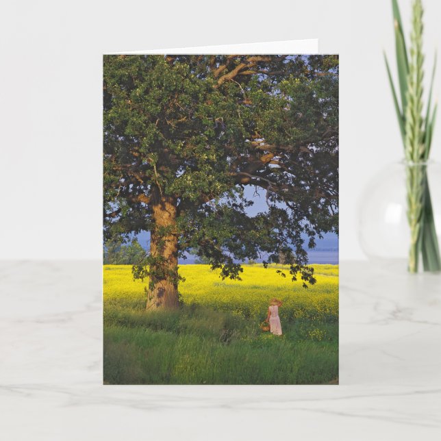 NORR HJÄLTE   VERMONT FÖR HÄLSNINGKORT KORT (Framsida)