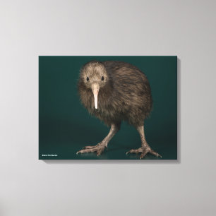 Norr öbruntKiwi Canvastryck