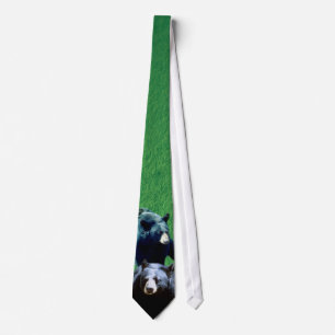 Norr - Tie för amerikansvartbjörn Slips