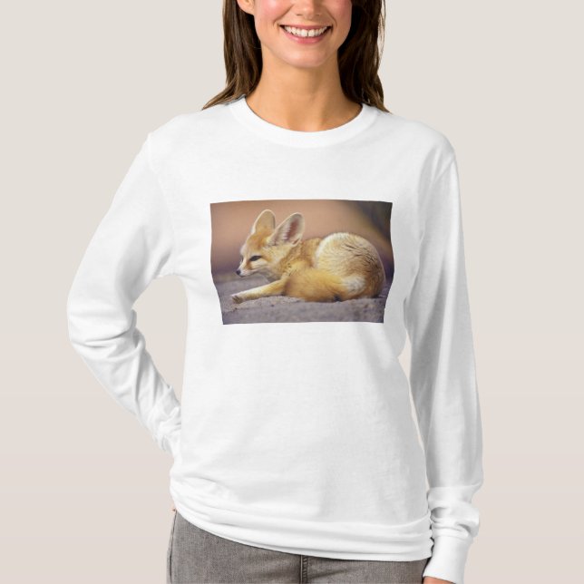 Norra Afrikan. Fennec Fennecus zerda) T-shirt (Framsida)