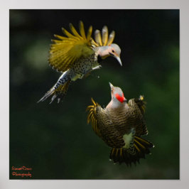 Norra Flickers par Poster