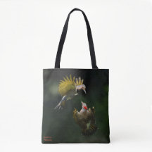 Norra Flickers par  