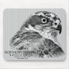Norra Goshawk Musmatta