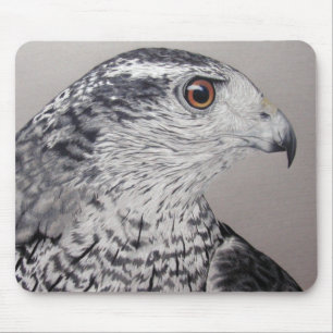 Norra Goshawk Musmatta