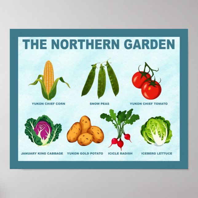 Norra grönsaksträdgården poster (Framsidan)