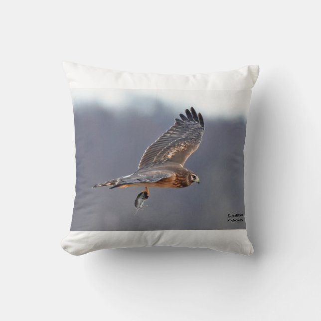 Norra Harrier Kudde (Framsida)