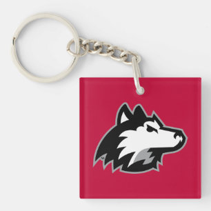 Norra Illinois Huskies