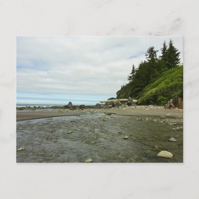 Norra Kalifornien Kusten från Redwood Park Vykort (Framsida)