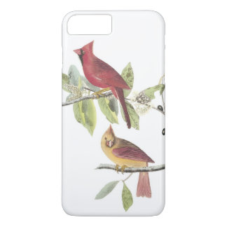 Norra kardinalen av Audubon