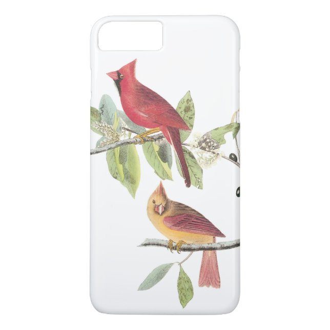 Norra kardinalen av Audubon Case-Mate iPhone Skal (Baksida)