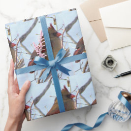 Norra kardinalfoto, Papper Presentpapper