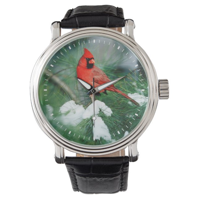 Norra kardinalhannen på träd, IL Armbandsur (Framsida)