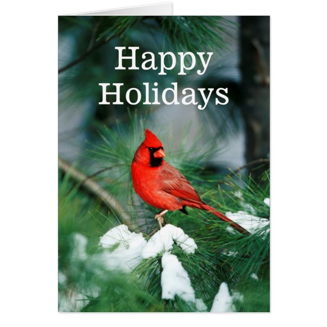 Norra kardinalhannen på träd, IL Hälsningskort (Framsidan)