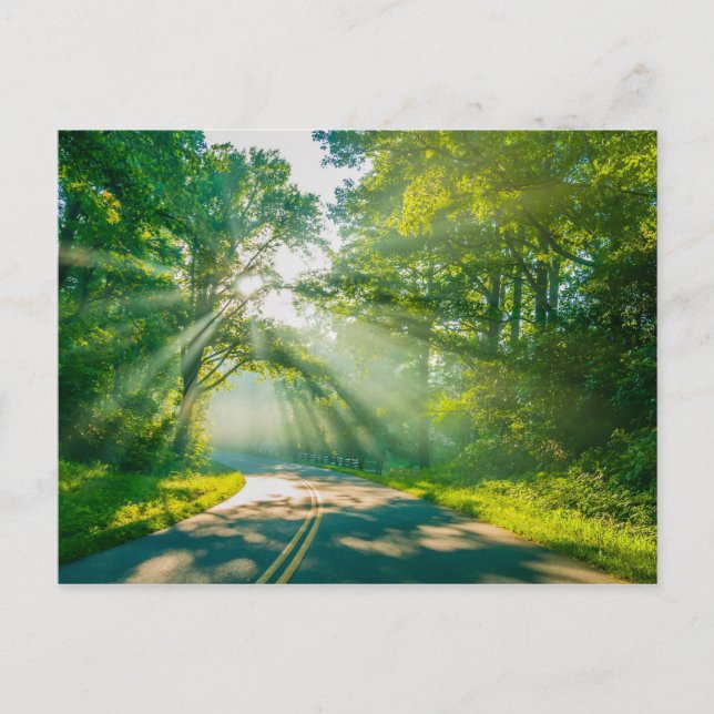 Norra karolinblårallådberg vykort (Framsida)