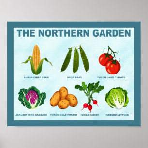 Norra köksväxter poster