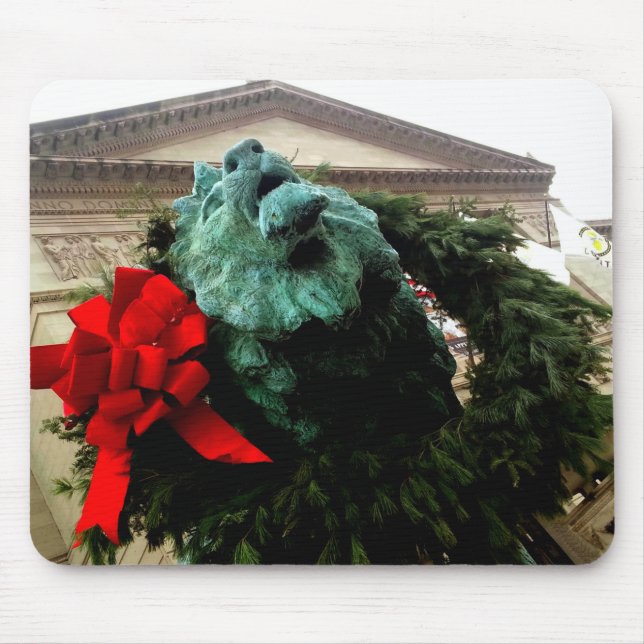 Norra Lejona vid Art Institute of Chicago Musmatta (Framsidan)