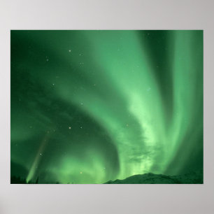 Norra ljus, Aurora borealis, över fotgängare Poster