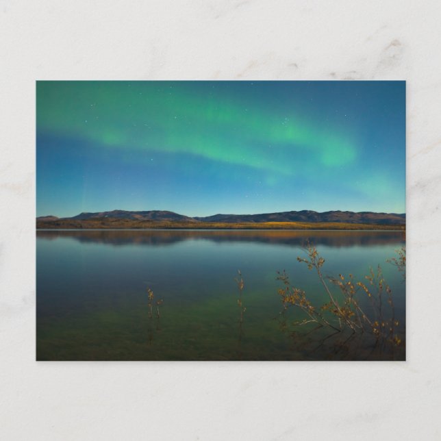 Norra ljus (Aurora borealis) Vykort (Framsida)