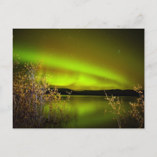 Norra ljus (Aurora borealis) Vykort