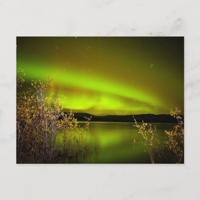 Norra ljus (Aurora borealis) Vykort (Framsida)