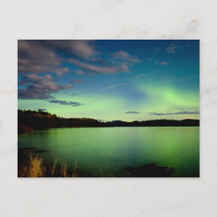 Norra ljus (Aurora borealis) Vykort