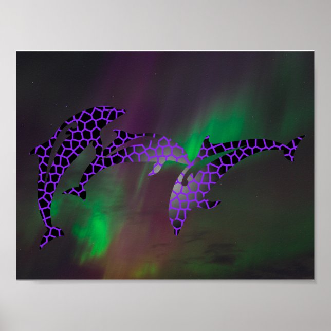 Norra Ljus Dolphin Dolphins Landscapes Himmel Poster (Framsidan)