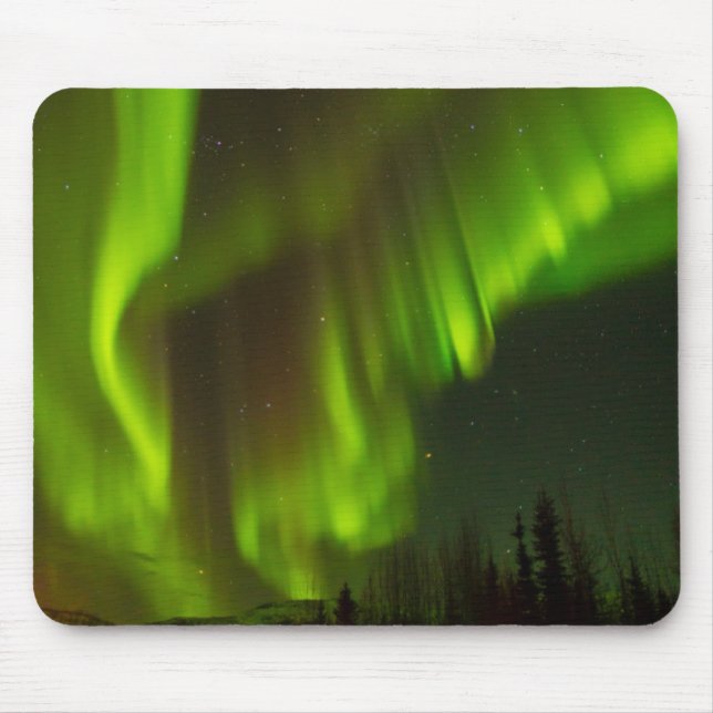 Norra Ljus | Fairbanks, Alaska Musmatta (Framsidan)
