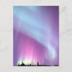 Norra Ljus Himmel Winter Alaska Stars Vykort