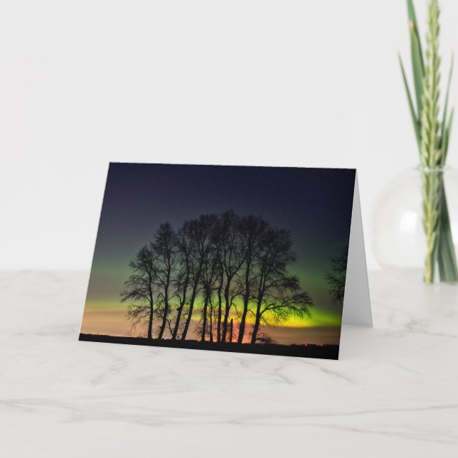 Norra Ljus | Manitoba Canada Grande Pointe Kort (Framsida)