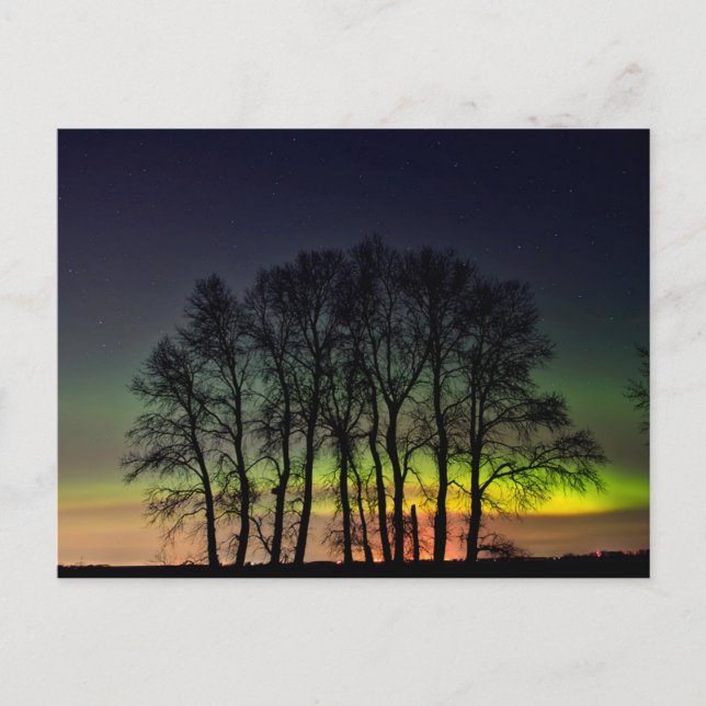 Norra Ljus | Manitoba Canada Grande Pointe Vykort (Framsida)