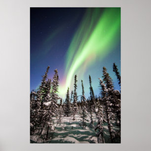 Norra Ljus Nationalparken Denali Poster
