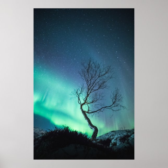 Norra Ljus Poster (Framsidan)
