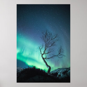 Norra Ljus Poster