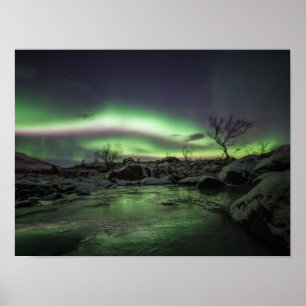 Norra Ljus Poster