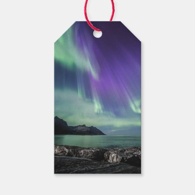 Norra Ljus Senja Presentetikett (Framsidan)