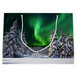 Norra ljus under vintern