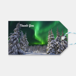 Norra ljus under vintern presentetikett