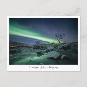 Norra Ljus Vykort