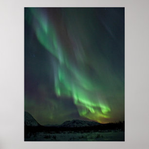 Norra Ljus Whitehorse, Yukon Poster