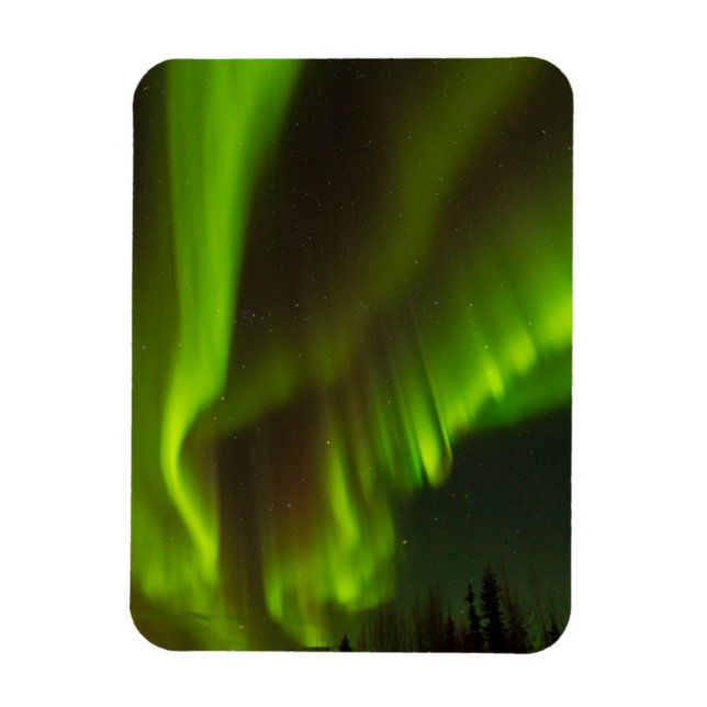 Norra ljuset | Fairbanks, Alaska Magnet (Vertikal)