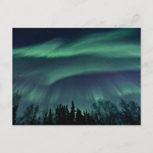Norra ljuset i Alaska, ZTD Vykort