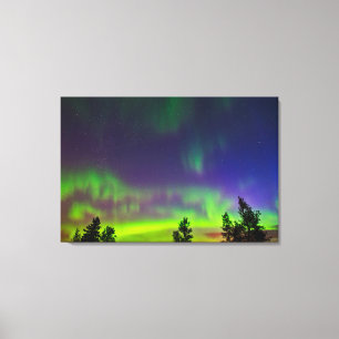 Norra ljuset Manitoba Kanada Canvastryck