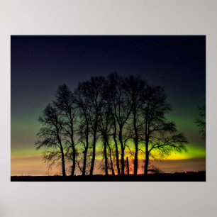 Norra ljuset Manitoba Kanada Grande Pointe Poster
