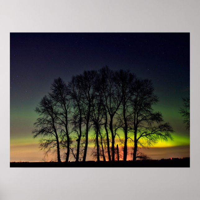 Norra ljuset | Manitoba Kanada Grande Pointe Poster (Framsidan)