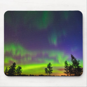 Norra ljuset Manitoba Kanada Musmatta